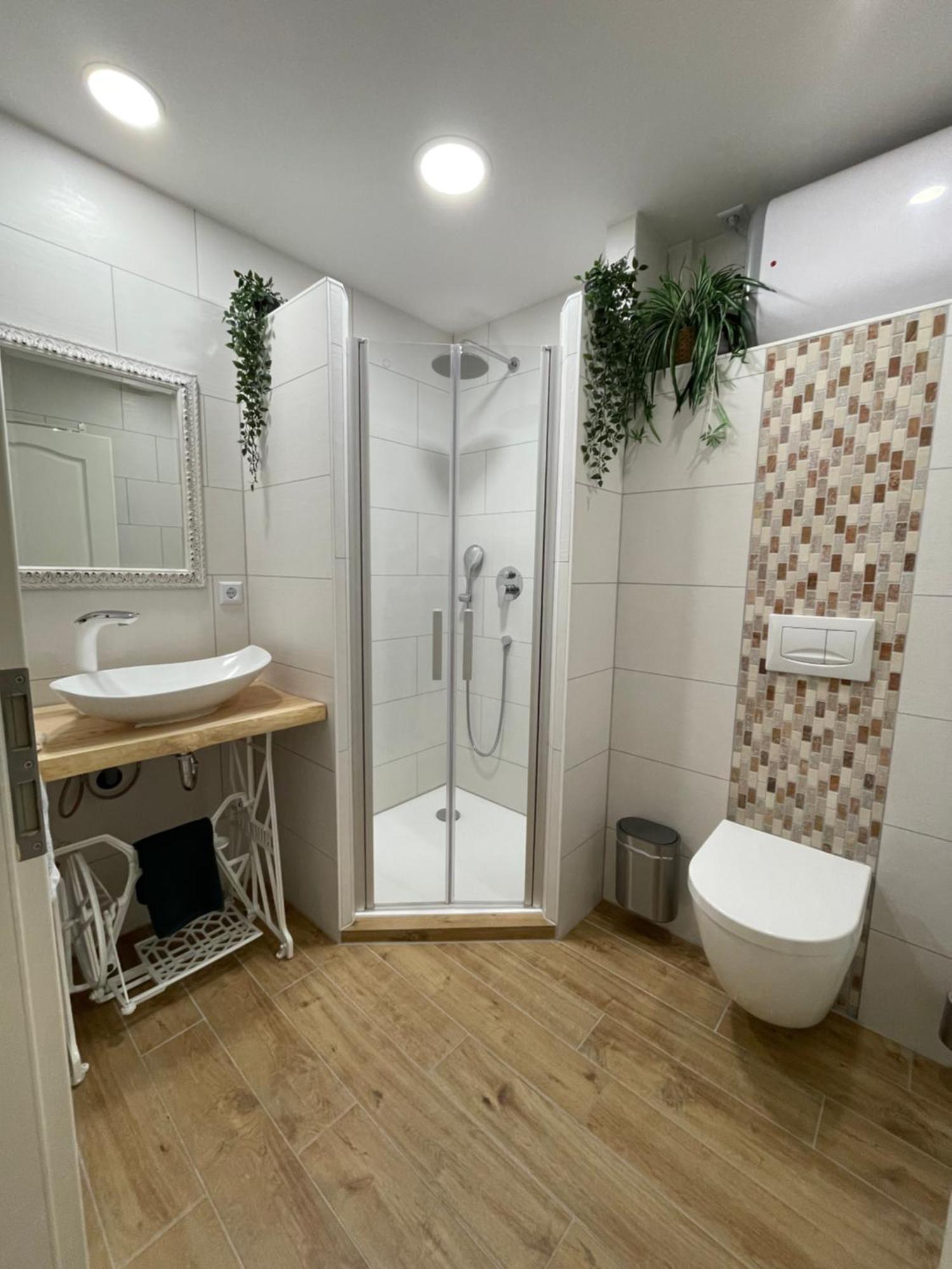 Ferienwohnung Anni - Harz فيرنغروده المظهر الخارجي الصورة